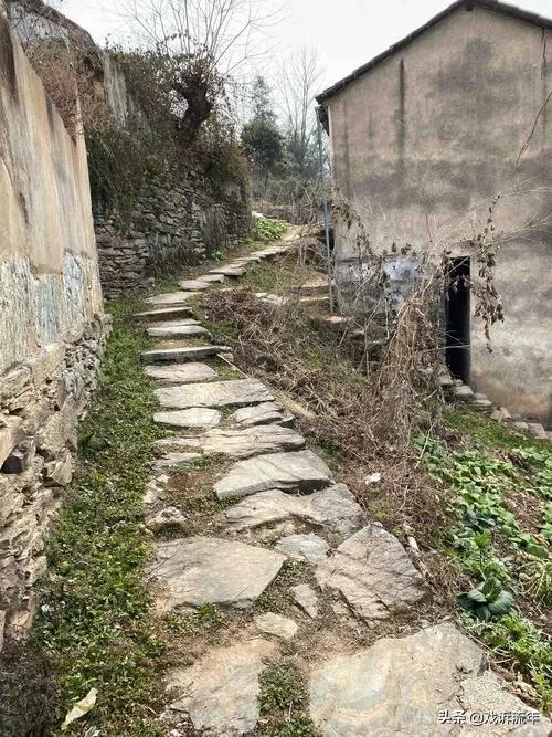 一起走过的路我不忍再去回顾（我们一起走过的路）