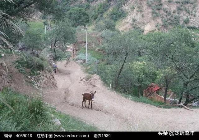 一起走过的路我不忍再去回顾（我们一起走过的路）