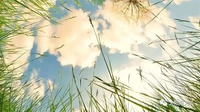 海鸥乔纳森给我们的启示（海鸥乔纳森在追求梦想的过程中遇到了哪些困难）