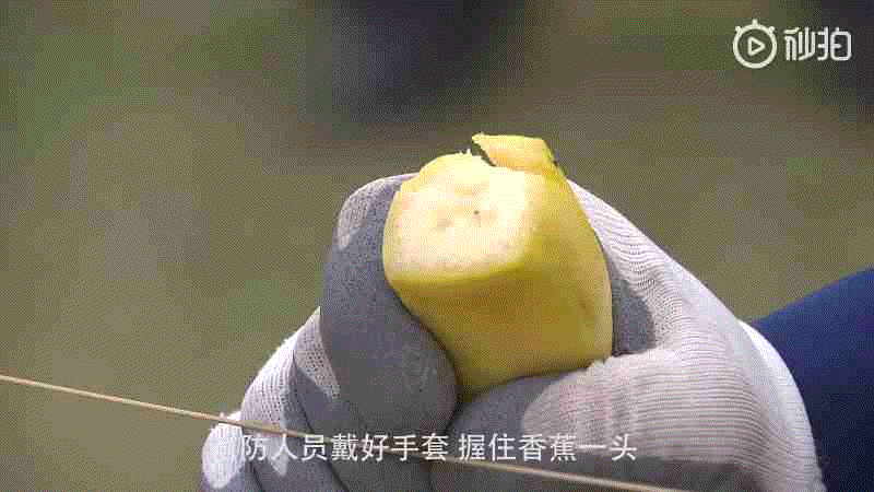 放风筝过程作文300字优秀（放风筝过程作文250字）