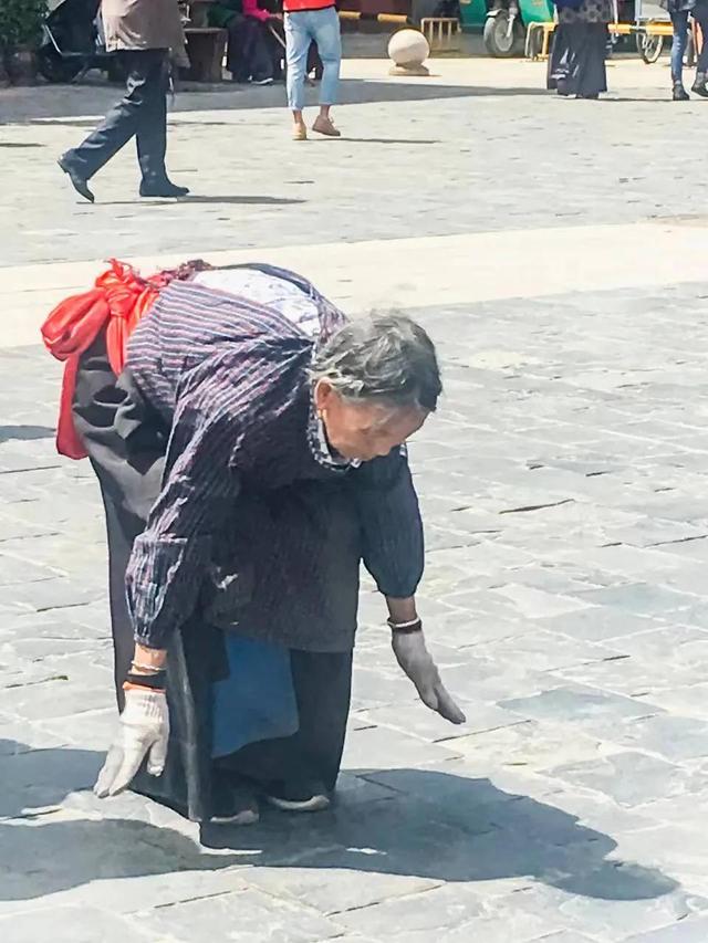 跪拜猫（跪拜的意思）