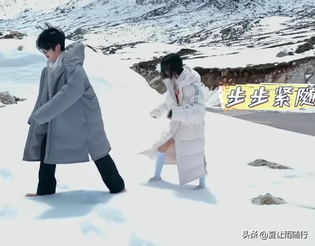 爱不将就英文翻译（爱不将就,只因你）