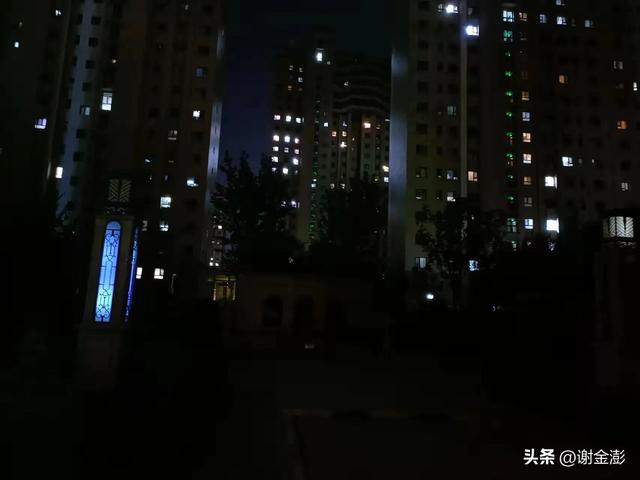 关于志愿者的作文800字（关于志愿者的作文开头）
