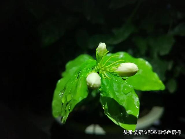 关于细节的作文800字高中（关于细节的作文800字记叙文）