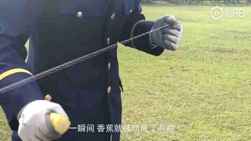 放风筝过程作文300字优秀（放风筝过程作文250字）