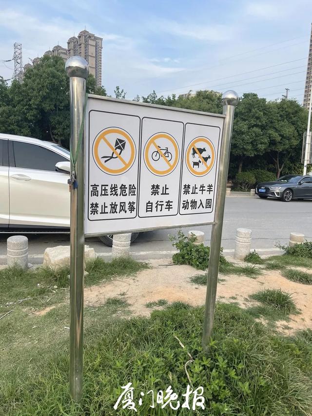 放风筝过程作文300字优秀（放风筝过程作文250字）