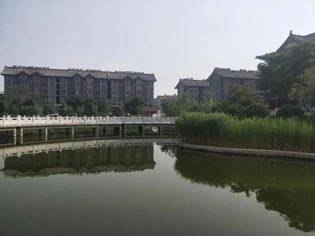 零乱的反义词语是什么，零乱的反义词语是什么词