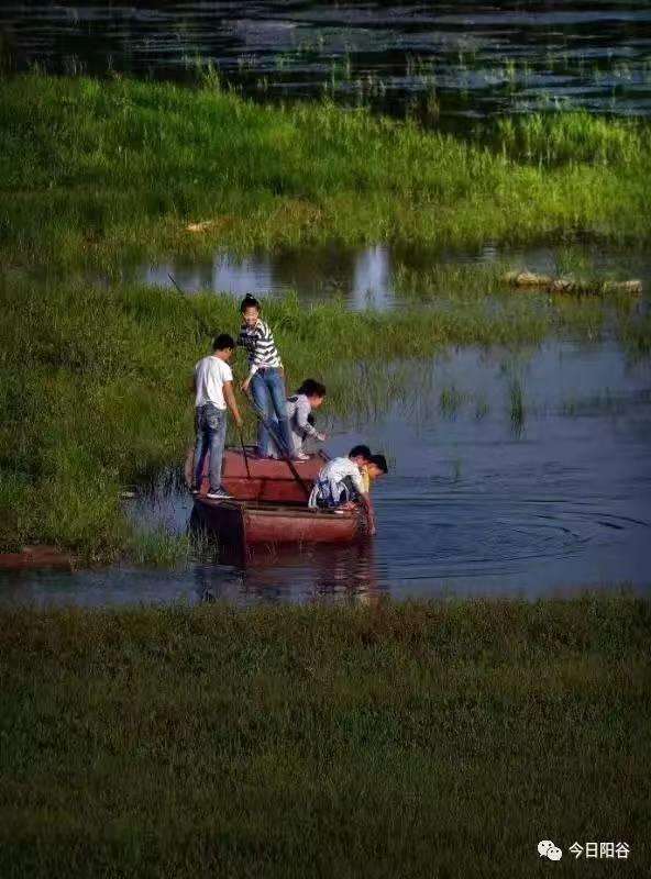 零乱的反义词语是什么，零乱的反义词语是什么词