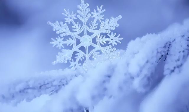 2022第一场雪作文300字，三年级第一场雪作文300字！