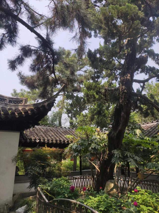 记叙文常用的写作手法有哪些，记叙文有什么写作方法！
