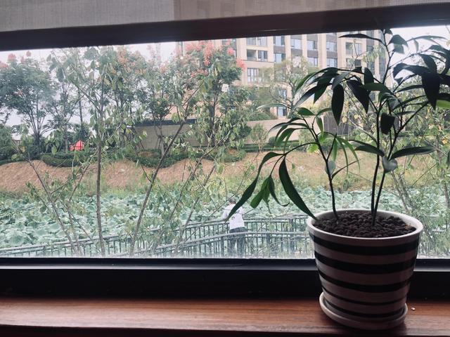清风与明月便是无价珍团圆三五夜何处不光明，清风与明月便是无价珍团圆三五夜何处不光明姻缘！