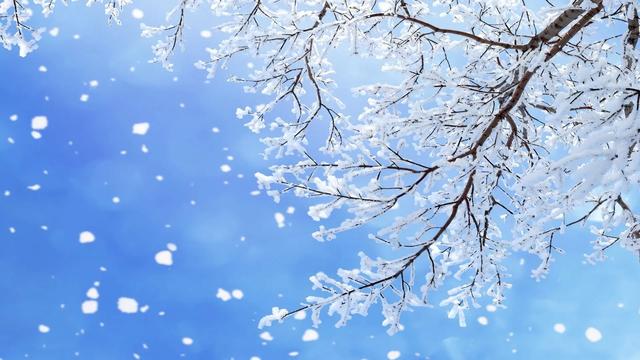 2022第一场雪作文300字，三年级第一场雪作文300字！