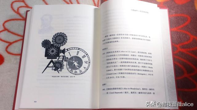 爱丽丝漫游奇境读后感500字重在感受，爱丽丝漫游奇境读后感500字高中！