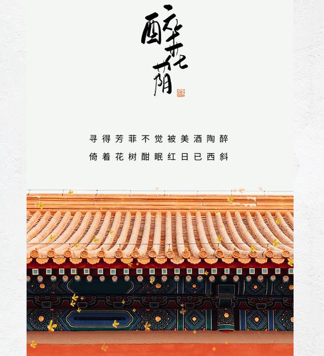 醉花荫舞蹈服装，醉花荫舞蹈服装设计！