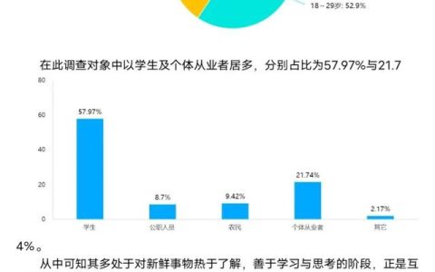 问卷调查分析报告格式模板，调查问卷说明万能模板