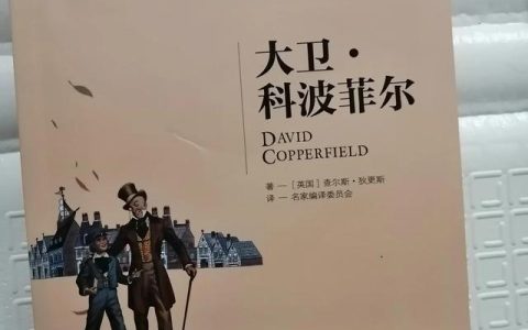 大卫科波菲尔读后感600字，大卫科波菲尔故事梗概