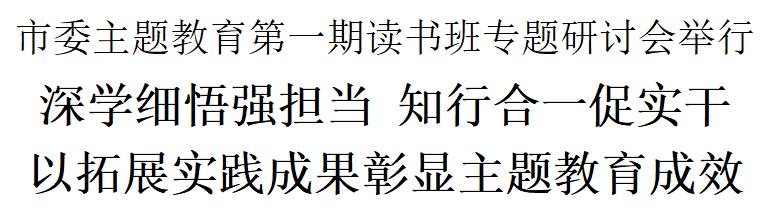 主题教育专题研讨，主题教育研讨会？